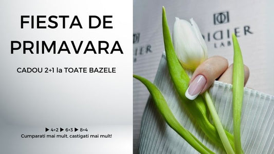 SĂPTĂMÂNA MODEI DE PRIMĂVARĂ CU DIDIER LAB